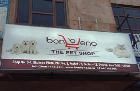 Bonbeno The Pet Shop - Dwarka - Delhi