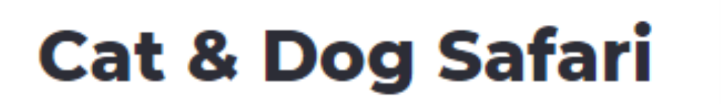 Cat & Dog Safari - Chawri Bazar - Delhi