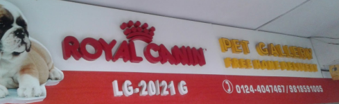 Heads Up For Tails - Chattarpur - Delhi