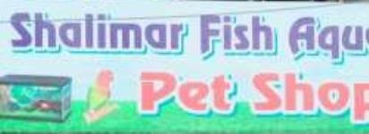 Shalimar Fish Aquarium & Pet Shop - Shalimar Garden Extention 2 - Sahibabad