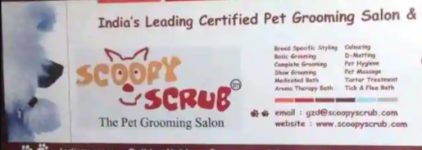 Scoopy Scrub - Indirapuram - Ghaziabad