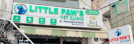 Little Paws Vet Clinic - Chattarpur - Delhi