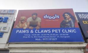 Paws & Claws Pet Clinic - Sector 31 - Gurgaon