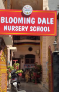 Blooming Dale Nursery School - Model Town - Ludhiana