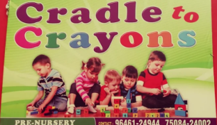 Cradle To Crayons Preschool And Day Care - Model Town - Ludhiana