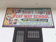 Smart Angel Play Way School - Dholewal - Ludhiana