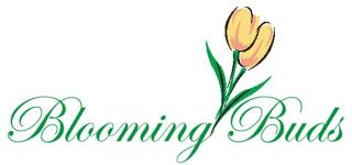 Blooming BUDS English Medium School - Vivekananda Nagar - Mysore