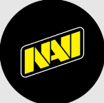 Natus Vincere Fan Token (NAVI)