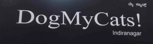 Dogmycats - Indiranagar - Bengaluru