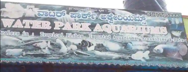 Water Park Aquarium - Vishwaneedam - Bengaluru