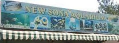 New Sona Aquarium - Dommasandra - Bengaluru
