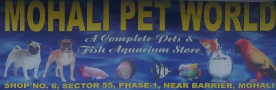 Mohali Pet World - Mohali - Chandigarh