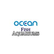 Ocean Fish Aquarium & Pet Shop - Jhungiyan - Kharar