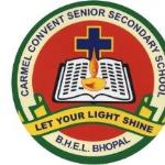 Carmel Convent Government Higher Secondary School - Bhel - Bhopal