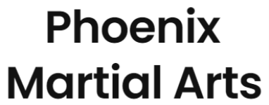 Phoenix Martial Arts - Neeladri Road - Bengaluru