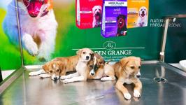 Pet Paradise Veterinary Clinic - Dombivli - Mumbai