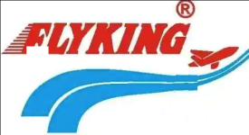 Flyking Courier Services Private Limited - Hillcart Road - Siliguri