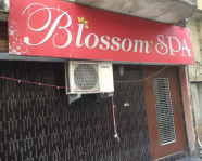 Blossom Spa - Dehradun City - Dehradun