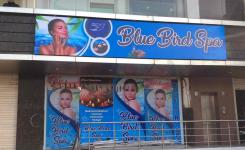Blue Bird & Hot Stone Unisex Spa & Salon - Dehradun City - Dehradun