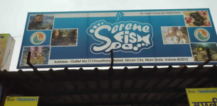 Serene Fish Spa - Rajendra Nagar - Indore