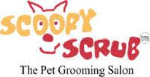 Scoopy Scrub - Sector 14 - Faridabad