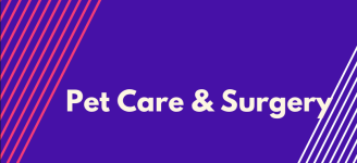 Pet Care & Surgery - DLF Phase 4 - Gurugram