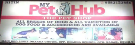 My Pet Hub - Mukherjee Nagar - Delhi
