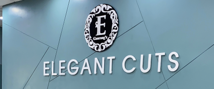 Elegant Cuts - Althan - Surat