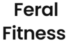 Feral Fitness - West Mambalam - Chennai