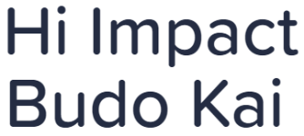 Hi Impact Budo Kai - Anna Nagar West - Chennai
