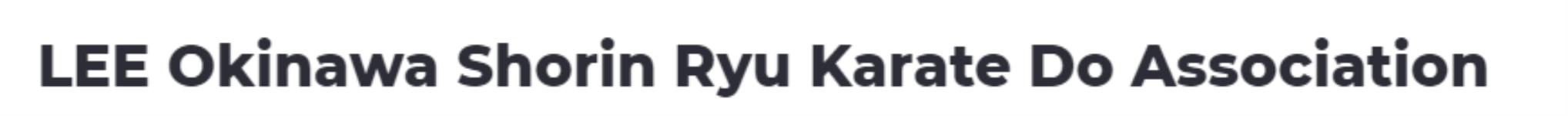 Lee Okinawa Shorin Ryu Karate Do Association - Adambakkam - Chennai