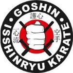 Goshin Isshin-Ryu Karate International Academy - Thiruvanmiyur - Chennai