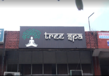 Tree Spa - Sector 35-C - Chandigarh