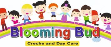 Blooming Bud - Kankurgachi - Kolkata