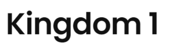 Kingdom 1 - Avijit Vivekananda Road - Kolkata