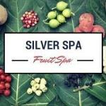 Silver Spa - Sarthana - Surat