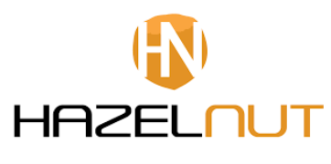 Hazelnut Cyborg Llp - Nehru Place - Delhi