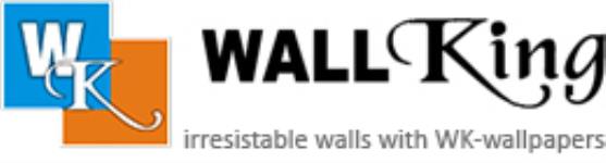 Wall King - Jubilee Hills - Hyderabad