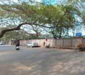 Star Cricket Academy - Vikaspuri - Delhi