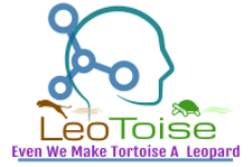 Leotoise Consultancy & Services