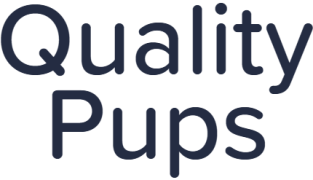 Quality Pups - Madhapur - Hyderabad