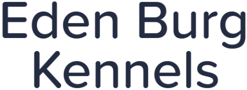 Eden Burg Kennels - Narayanguda - Hyderabad