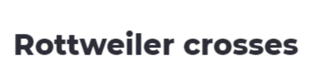 Rottweiler Crosses - - Hyderabad