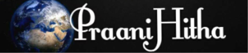 Praanihitha Pets - Kphb Colony - Hyderabad