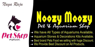 Noozy Moozy Pets Aquarium - Moosarambagh - Hyderabad