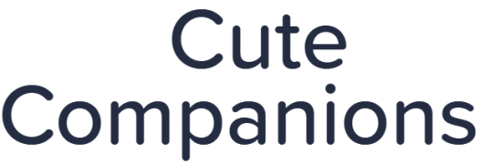 Cute Companions - Vanasthalipuram - Hyderabad