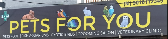 Pets For U - Jammu Tawi - Jammu