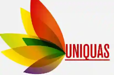 Uniquas Solutech Private Limited - Bellandur - Bengaluru