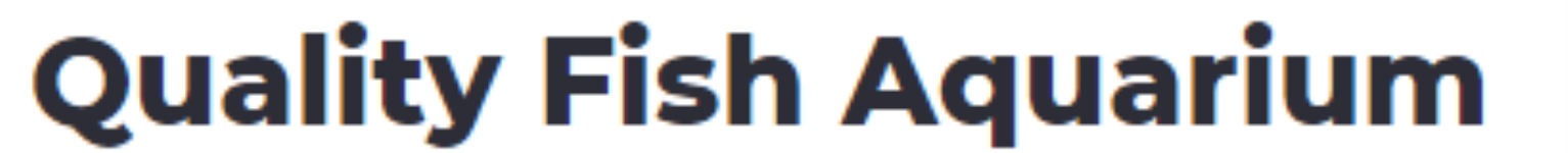 Quality Fish Aquarium - Subhash Nagar - Gurugram