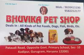 Bhuvika Pet Shop - Kadipur Village - Gurugram